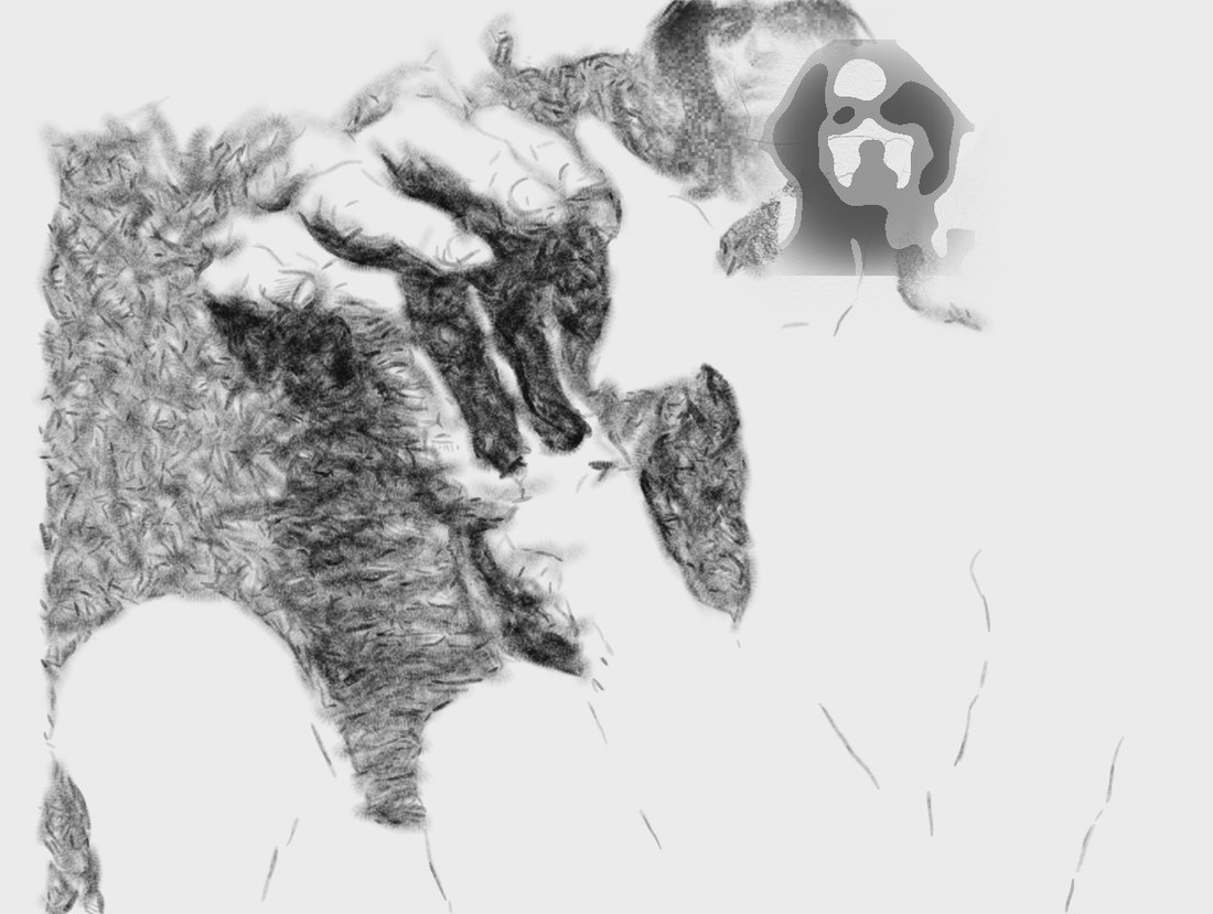 Plan C3 (target): blurred, 3 values.